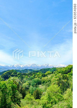 新緑と残雪の北アルプス 65954060