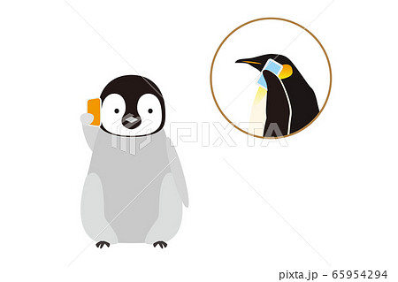スマートフォンで会話する皇帝ペンギンの親子のイラストのイラスト素材