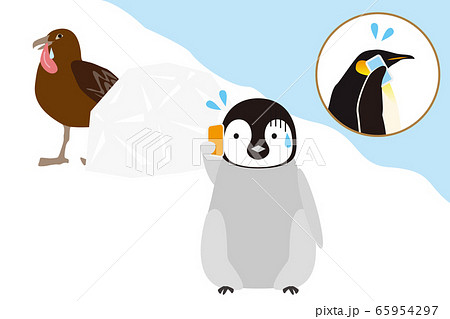 鳥に後をつけられて親に助けを求めるエンペラーペンギンの子どものイラストのイラスト素材