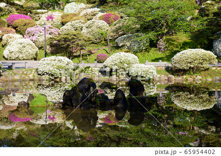 春の千秋公園　胡月池　秋田市 65954402