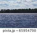 River ob in summer, Siberia, Russia River ob in summer, Siberia, Russia 65954700