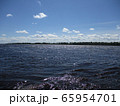 River ob in summer, Siberia Russia River ob in summer, Siberia Russia 65954701
