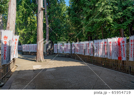 日本三大稲荷 豊川稲荷 奥の院参道の千本のぼりの写真素材