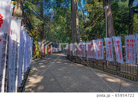 日本三大稲荷 豊川稲荷 奥の院参道の千本のぼりの写真素材