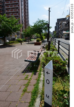 GWの公園 65955103