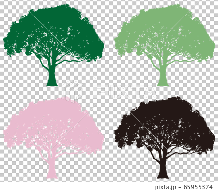 Camphor set 65955374