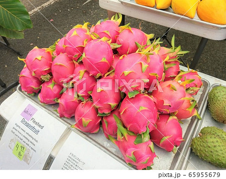 ドラゴンフルーツ 65955679
