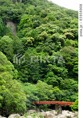 新緑の奇絶峡と滝見橋 65956908