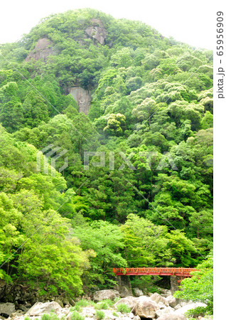 新緑の奇絶峡と滝見橋 65956909