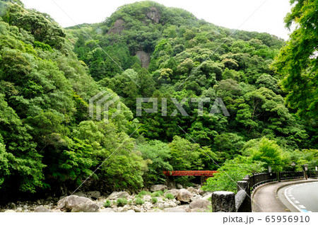 新緑の奇絶峡と滝見橋 65956910