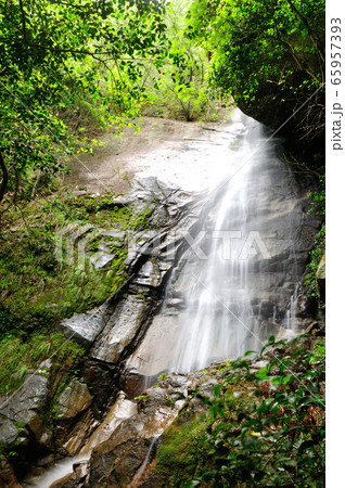 新緑の奇絶峡　赤城の滝(不動の滝) 65957393
