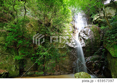 新緑の奇絶峡　赤城の滝(不動の滝) 65957397