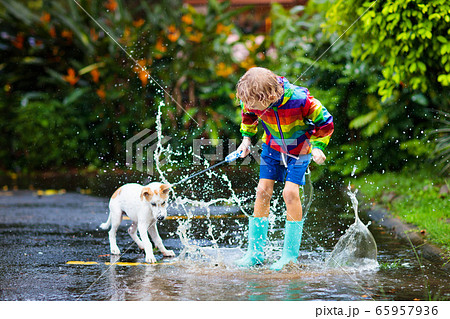 Kids in puddle in autumn rain. Waterproof wear 65957936