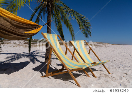 Magnificent view of a beach with a deck chair and a palm tree 65958249