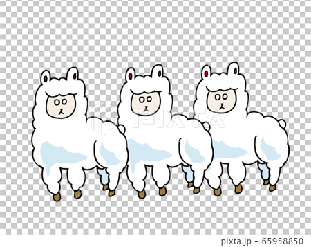 連なるアルパカ３匹 65958850