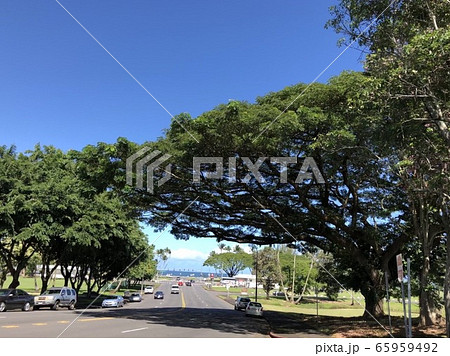 ハワイ島 ヒロの街並みの写真素材