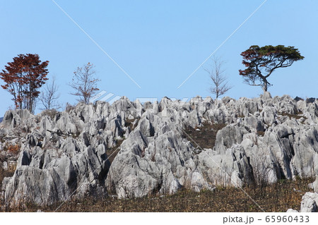 秋吉台カルスト台地 65960433