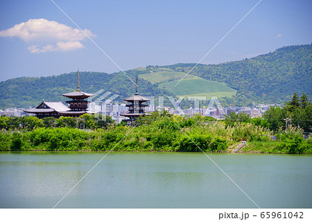 やまとしうるわしー１３ 65961042