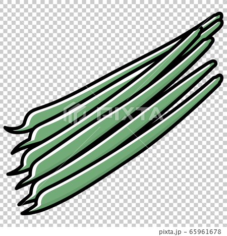 Green beans cartoon - Stock Illustration [65961678] - PIXTA