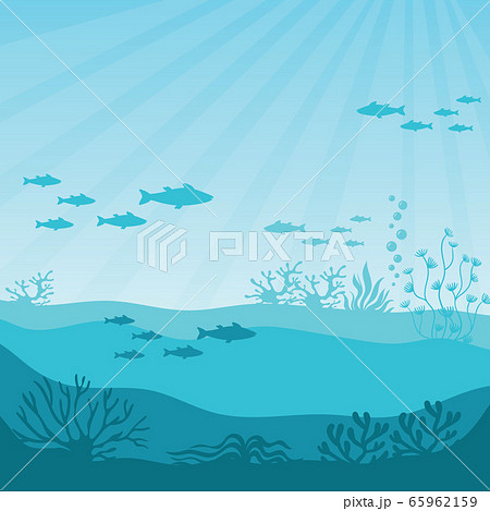 Undersea coral reef. Undersea panorama vector 65962159