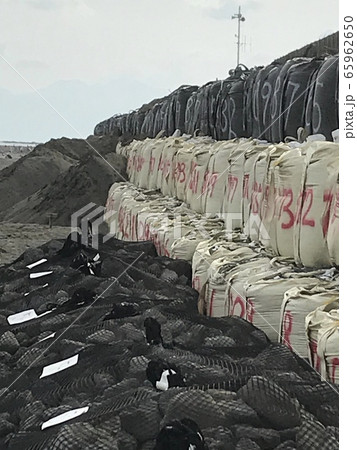 海岸に置かれたフレコン 海岸に置かれたフレコン 65962650