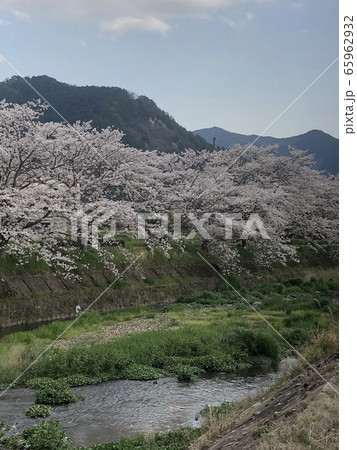 丹波篠山 65962932