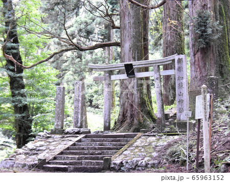 栃木県鹿沼市　加蘇山神社 65963152