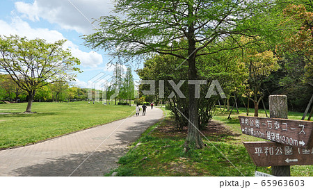 愛知県 名古屋市 平和公園 愛知県 名古屋市 平和公園 65963603