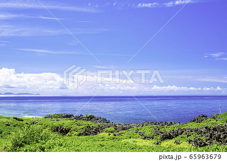 沖縄本島最北端の絶景 テリハクサトベラに覆われた辺戸岬 沖縄本島最北端の絶景 テリハクサトベラに覆われた辺戸岬 65963679