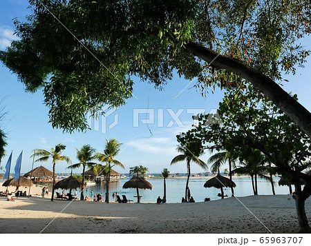 セブ島の観光リソート 癒しのビーチ (フィリピン) セブ島の観光リソート 癒しのビーチ (フィリピン) 65963707