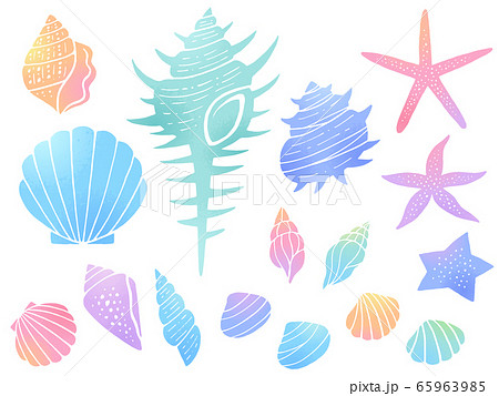 Gradation Illustration Set Of Seashells And Stock Illustration