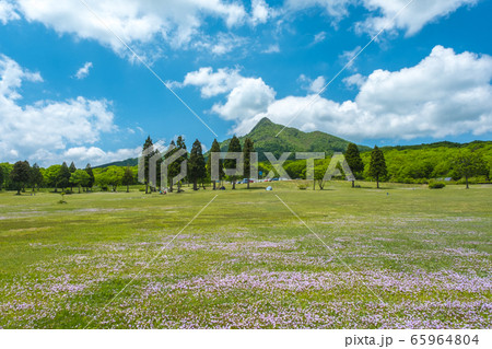 鳥取県 大山鏡ヶ成 初夏の風景 鳥取県 大山鏡ヶ成 初夏の風景 65964804