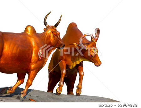 Himmapan animal sculpture on white background. Himmapan animal sculpture on white background. 65964828