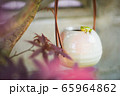 蛙と紅葉 65964862