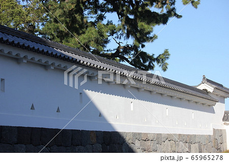 春の小田原城 春の小田原城 65965278