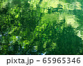 水面に映る緑 65965346