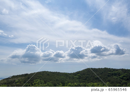 屋外 室外 自然 65965546