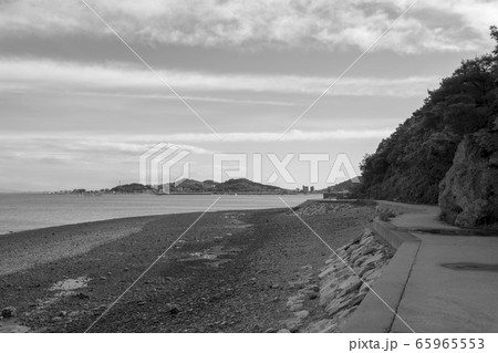 屋外 室外 自然 65965553