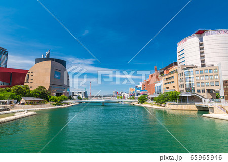 初夏の勝山公園と小倉中心街の街並み（福岡県北九州市） 65965946