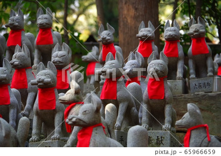 豊川稲荷のキツネ様 豊川稲荷のキツネ様 65966659