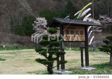 春の開田高原「きさらぎの里　運動公園」 65966660