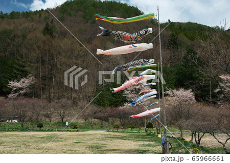 春の開田高原「きさらぎの里　運動公園」 65966661