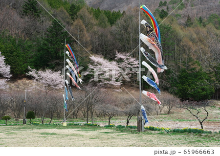 春の開田高原「きさらぎの里　運動公園」 65966663