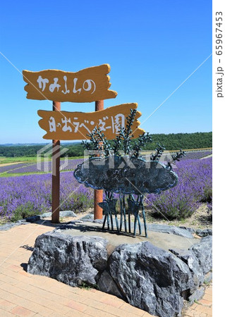 かみふらの日の出ラベンダー園(北海道上富良野町) かみふらの日の出ラベンダー園(北海道上富良野町) 65967453