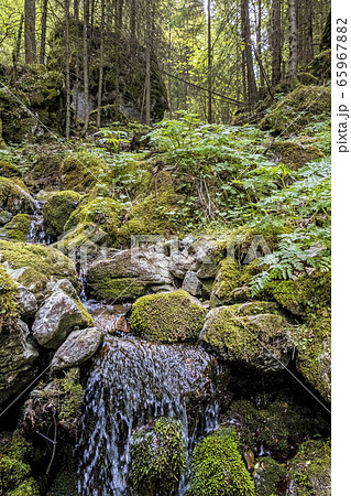 Huciaky gorge, Low Tatras mountains, Slovakia Huciaky gorge, Low Tatras mountains, Slovakia 65967882