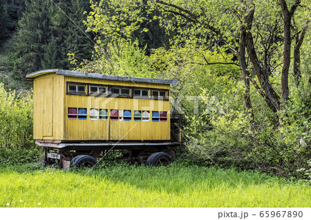 Mobile bee hive located in Low Tatras, Slovakia Mobile bee hive located in Low Tatras, Slovakia 65967890