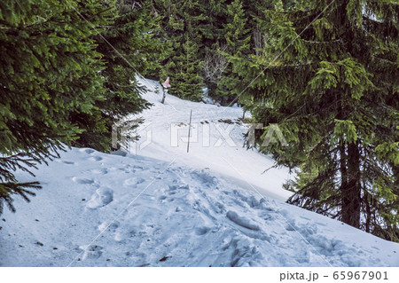 Tourist path, Big Fatra mountains, Slovakia 65967901