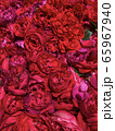 花摘み④（薔薇・フロレンティーナ） 65967940