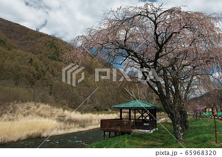 新緑の木曽川「水の始発駅公園」と東屋 65968320