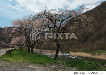 新緑の木曽川「水の始発駅公園」とバス停 新緑の木曽川「水の始発駅公園」とバス停 65968322
